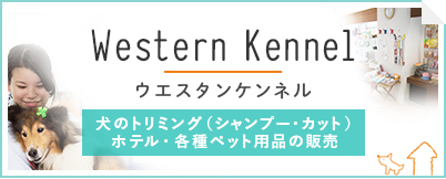 ウエスタンケンネル(Western Kennel) 犬のトリミング（シャンプー・カット）・ホテル・各種ペット用品の販売