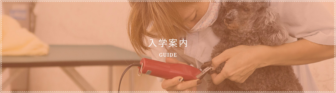入学案内